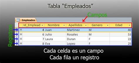 crear un campo descuento en acces